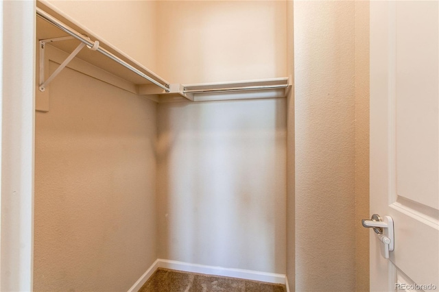 2346 Central Park Blvd, Denver, CO 80238 - walk in closet featuring carpet flooring