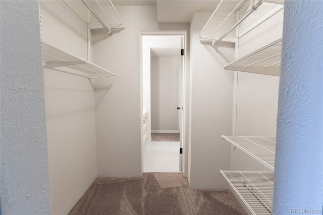 spacious closet with carpet