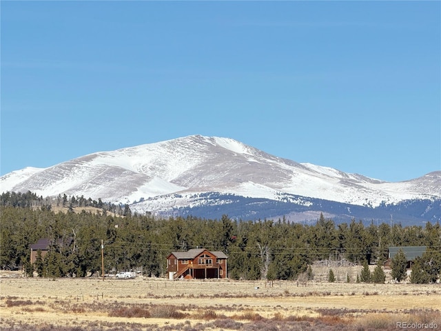 mountain view with a forest view