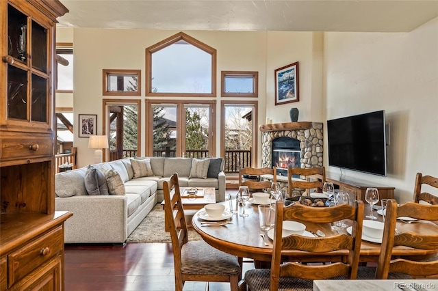 living room featuring a fireplace and dark wood-type flooring