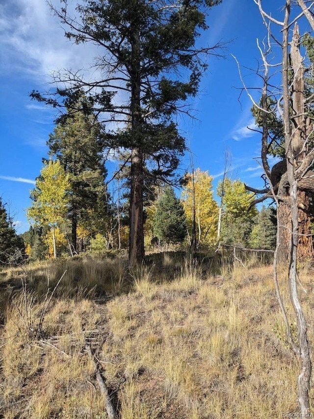 303 Viewcrest Way, Florissant, CO 80816 - photo 1