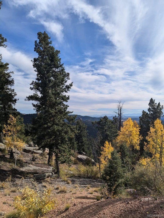 303 Viewcrest Way, Florissant, CO 80816 - photo 2