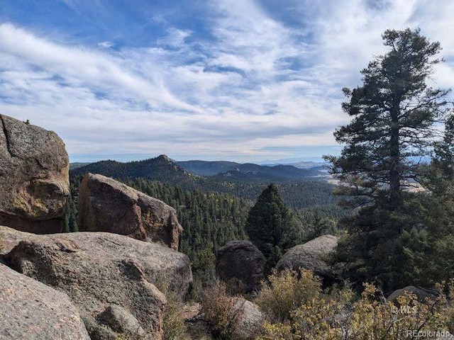 303 Viewcrest Way, Florissant, CO 80816 - photo 3