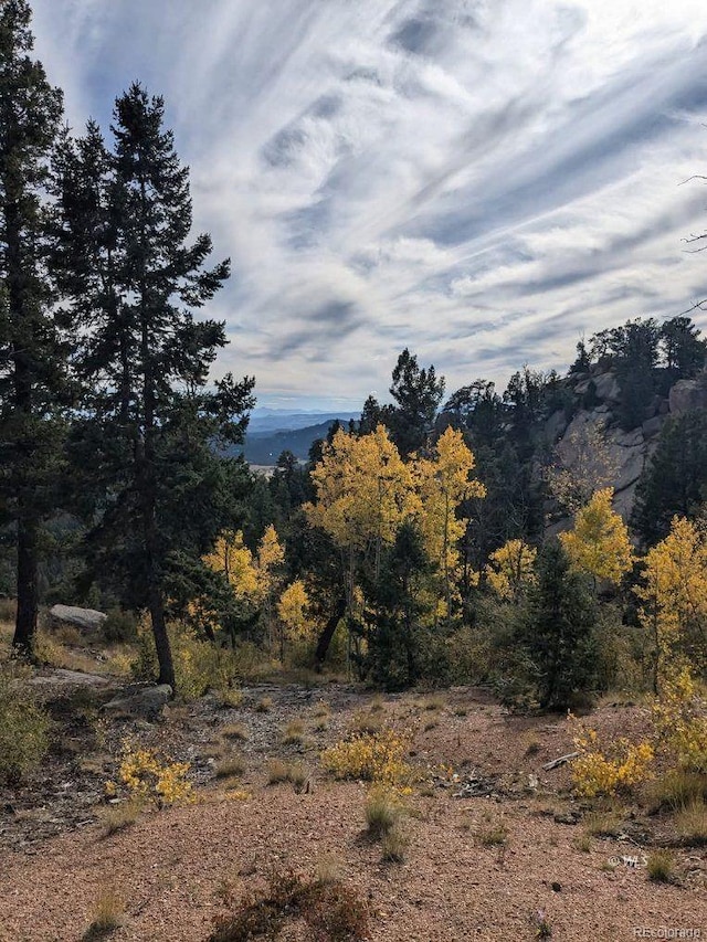 303 Viewcrest Way, Florissant, CO 80816 - photo 5