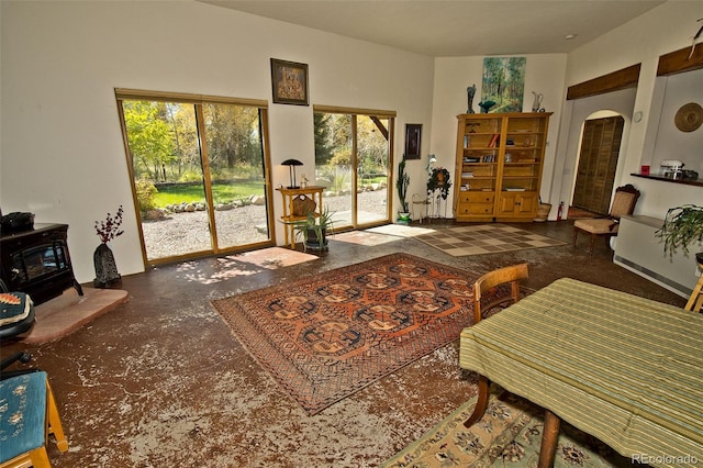 living room with a wood stove