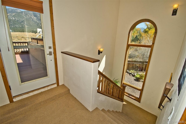 stairs with carpet and a mountain view