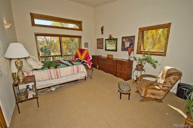 bedroom featuring carpet flooring