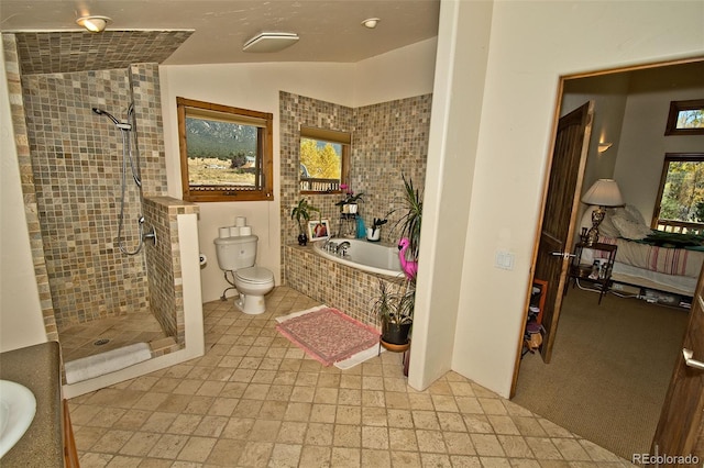 bathroom featuring a healthy amount of sunlight, vaulted ceiling, separate shower and tub, and toilet