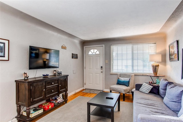 living area featuring baseboards and light wood-style floors