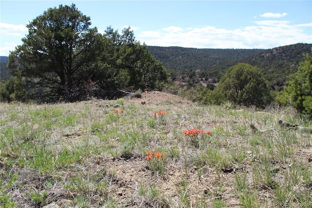 TBD Picketwire Rd, Trinidad, CO 81082 - photo 1