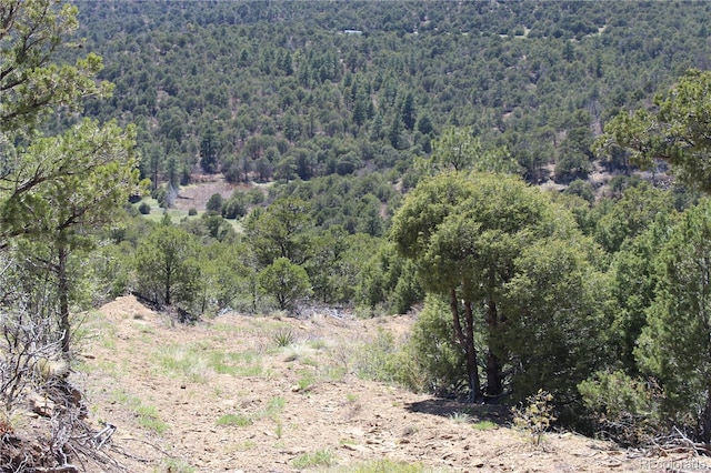 TBD Picketwire Rd, Trinidad, CO 81082 - photo 4