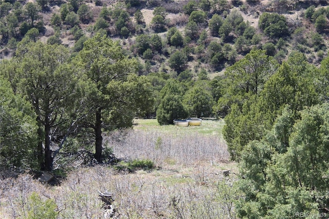 TBD Picketwire Rd, Trinidad, CO 81082 - photo 5