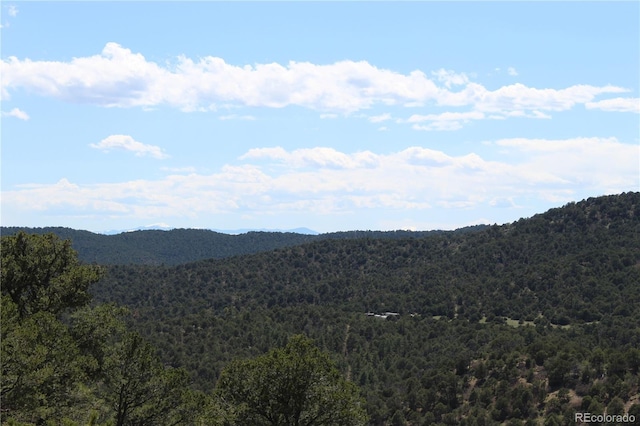 TBD Picketwire Rd, Trinidad, CO 81082 - photo 8