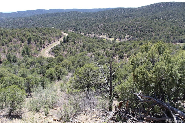 TBD Picketwire Rd, Trinidad, CO 81082 - photo 10