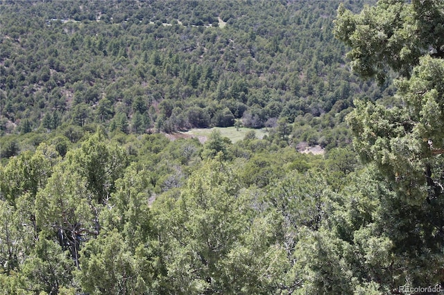 TBD Picketwire Rd, Trinidad, CO 81082 - photo 11