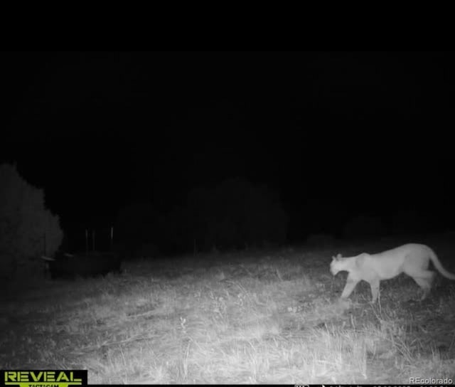 TBD Picketwire Rd, Trinidad, CO 81082 - photo 12