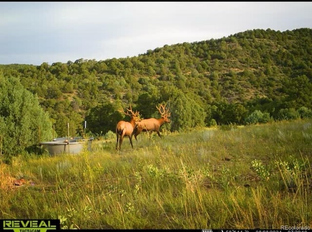 TBD Picketwire Rd, Trinidad, CO 81082 - photo 13
