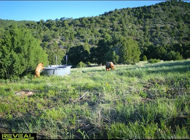TBD Picketwire Rd, Trinidad, CO 81082 - photo 14