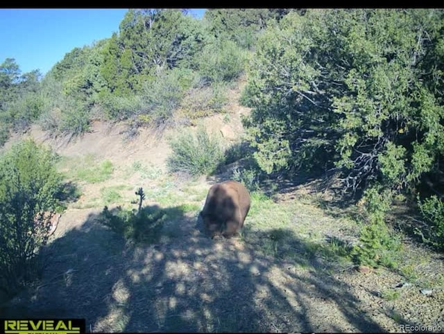 TBD Picketwire Rd, Trinidad, CO 81082 - photo 15