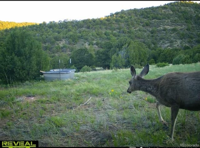 TBD Picketwire Rd, Trinidad, CO 81082 - photo 18