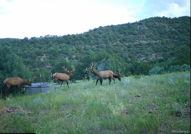 TBD Picketwire Rd, Trinidad, CO 81082 - photo 19