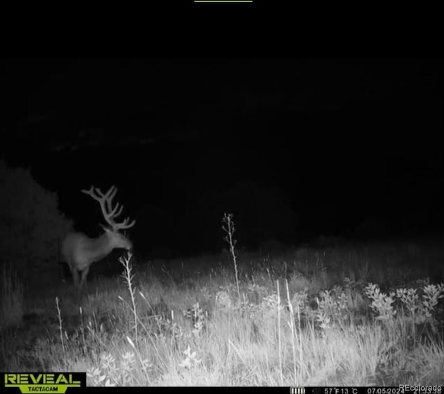 TBD Picketwire Rd, Trinidad, CO 81082 - photo 20