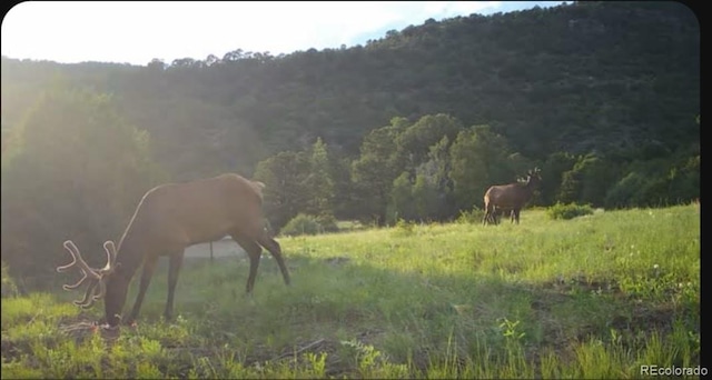 TBD Picketwire Rd, Trinidad, CO 81082 - photo 21