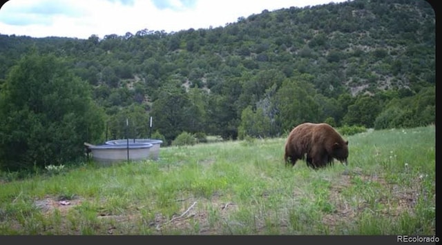 TBD Picketwire Rd, Trinidad, CO 81082 - photo 22