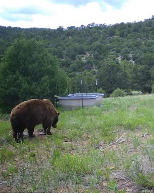 TBD Picketwire Rd, Trinidad, CO 81082 - photo 24