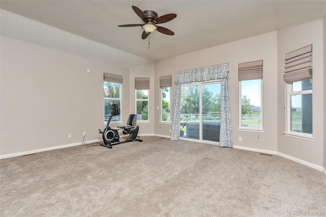 29852 E 163rd Pl, Brighton, CO 80603 - exercise room featuring carpet flooring and a ceiling fan