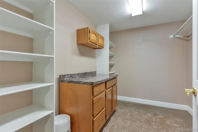 29852 E 163rd Pl, Brighton, CO 80603 - walk in closet featuring light carpet