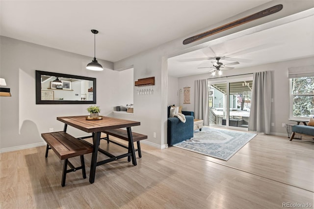 dining area with ceiling fan and light hardwood / wood-style floors