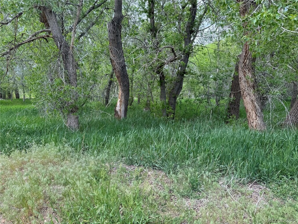 LOT42/43 Garland St, La Veta, CO 81055 - photo 1