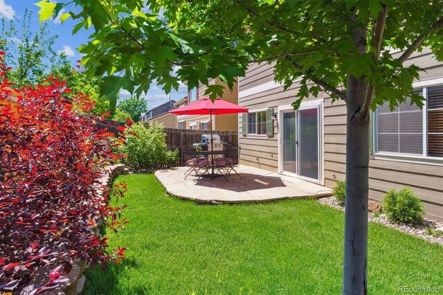 7342 S Mobile St, Aurora, CO 80016 - view of yard with a patio area