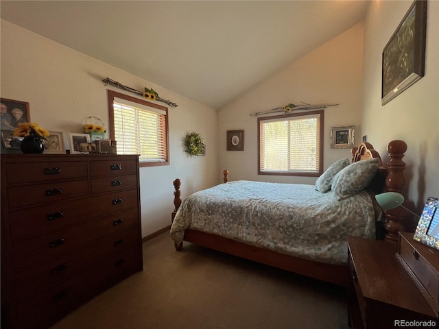 304 Cowan Rd, Bailey, CO 80421 - bedroom with carpet floors and vaulted ceiling