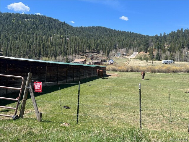 304 Cowan Rd, Bailey, CO 80421 - view of mountain backdrop featuring a heavily wooded area and rural landscape