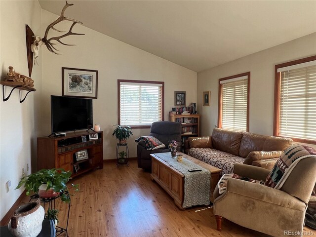 304 Cowan Rd, Bailey, CO 80421 - living room featuring light wood-type flooring and vaulted ceiling