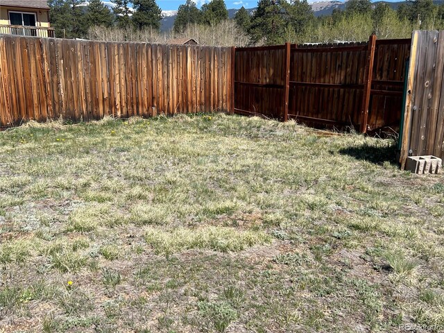304 Cowan Rd, Bailey, CO 80421 - view of yard