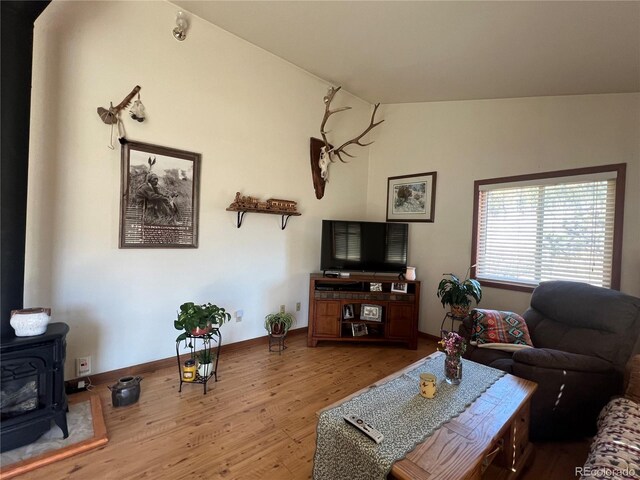 304 Cowan Rd, Bailey, CO 80421 - living room with wood finished floors, a wood stove, and baseboards