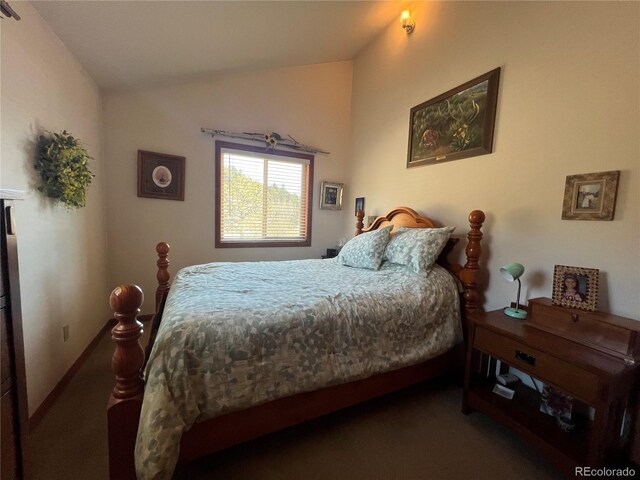 304 Cowan Rd, Bailey, CO 80421 - bedroom with vaulted ceiling and carpet