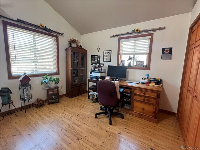 304 Cowan Rd, Bailey, CO 80421 - office space featuring light wood-style floors, lofted ceiling, and baseboards