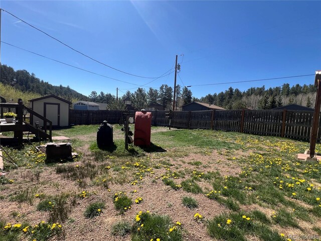 304 Cowan Rd, Bailey, CO 80421 - view of yard
