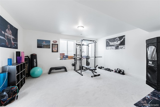 workout room featuring carpet