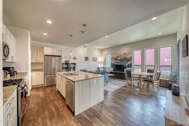 728 Oak St Unit F, Salida, CO 81201 - kitchen with appliances with stainless steel finishes, a sink, open floor plan, dark wood-type flooring, and light stone counters