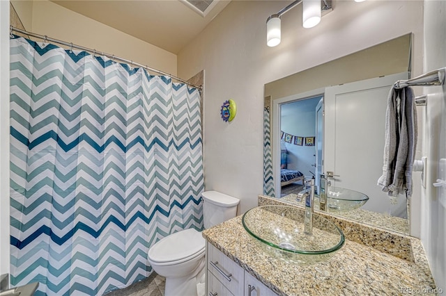 728 Oak St Unit F, Salida, CO 81201 - bathroom with vanity, toilet, a shower with curtain, and ensuite bathroom