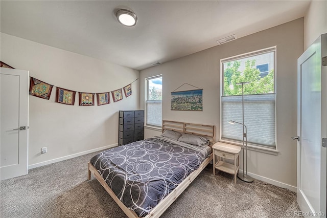 728 Oak St Unit F, Salida, CO 81201 - carpeted bedroom with multiple windows and baseboards