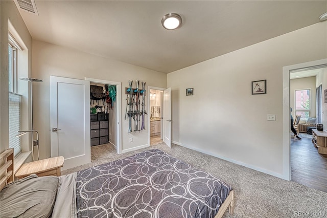 728 Oak St Unit F, Salida, CO 81201 - bedroom with carpet floors, a walk in closet, baseboards, and a closet