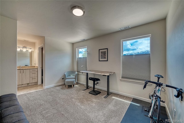 728 Oak St Unit F, Salida, CO 81201 - workout area featuring carpet flooring, baseboards, and a sink