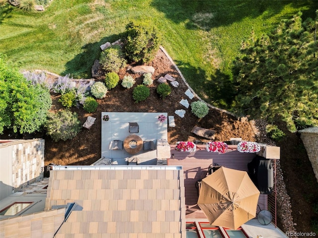 aerial view
