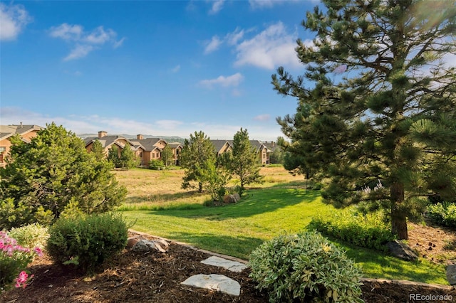 view of yard featuring a residential view